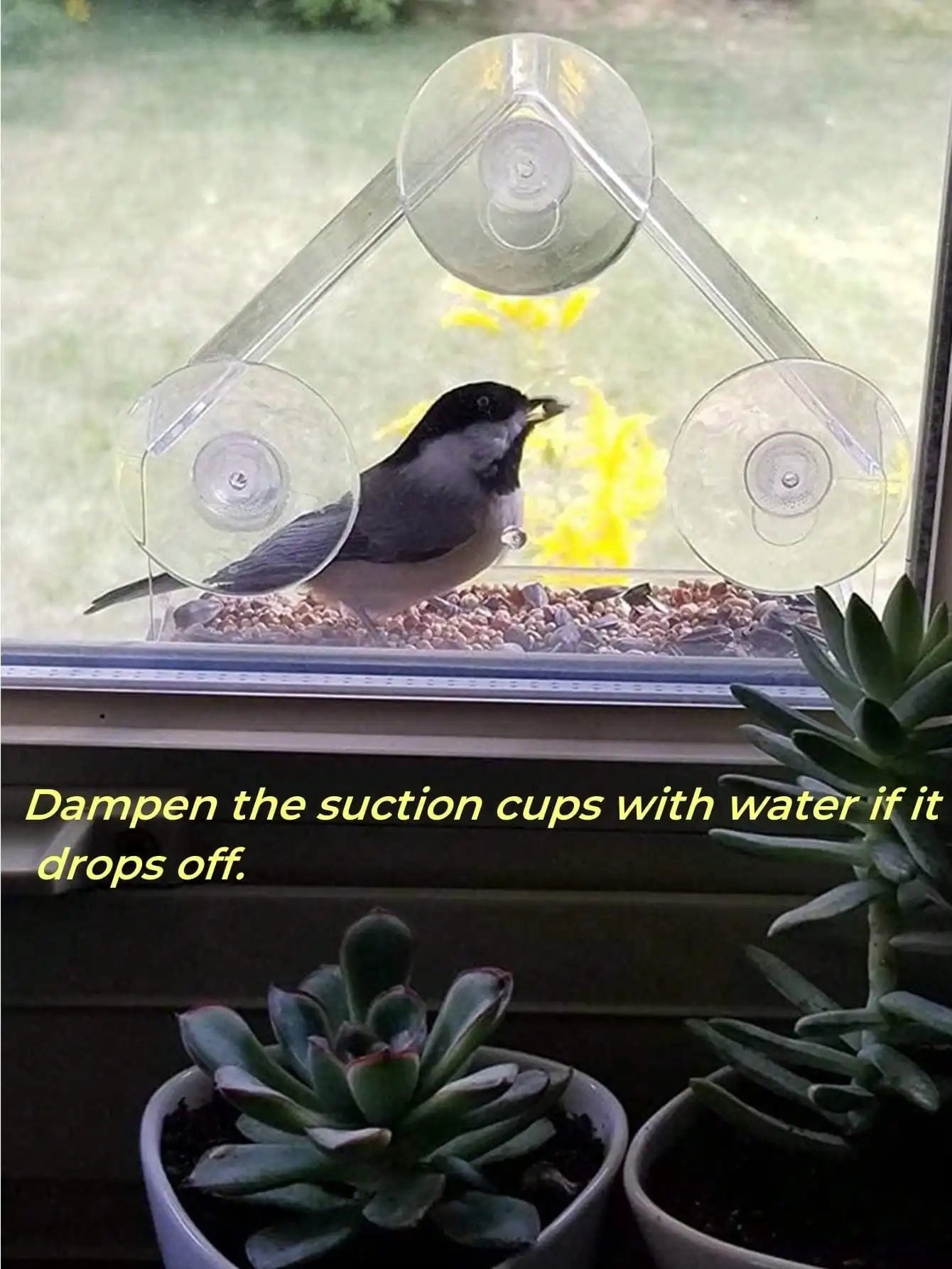 Acrylic Transparent Bird Feeder with Suction Cup