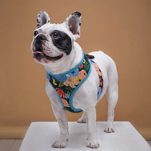 Nylon Printed Harness