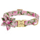 Engraved Dog Collar