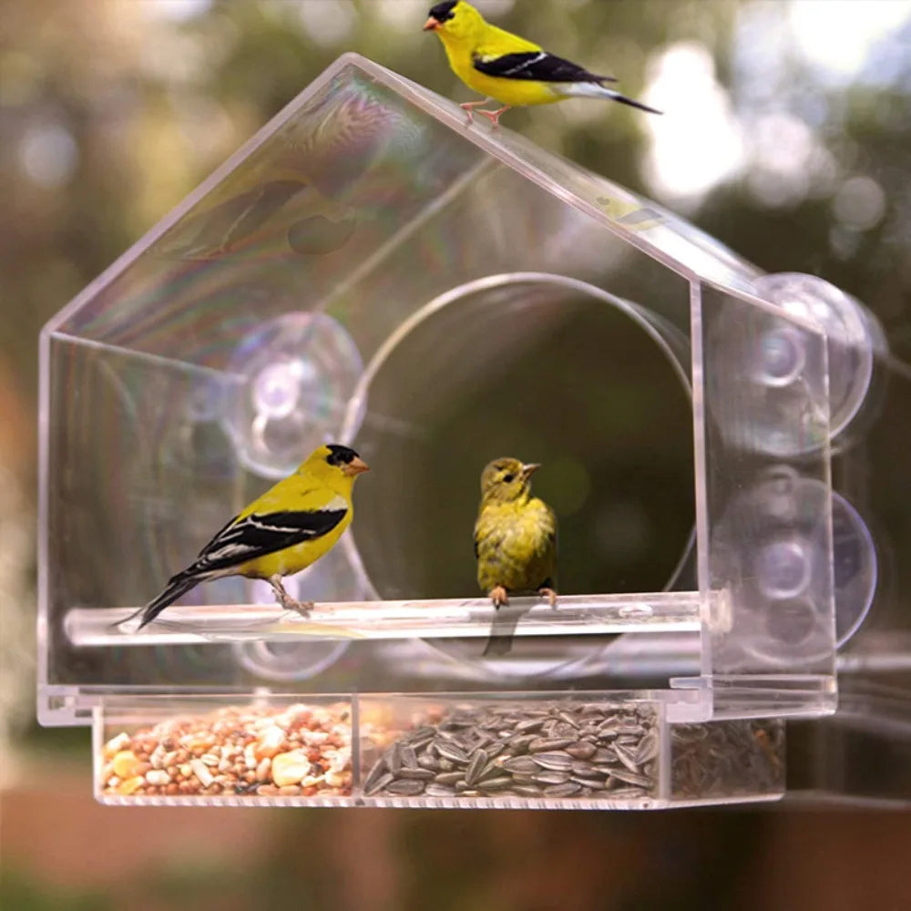Clear Glass Window Bird Feeder