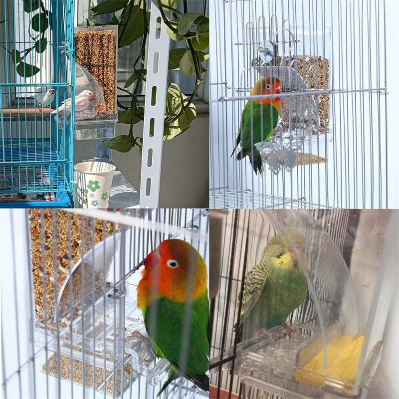 Removable Feeder for Birds