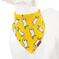 Fashion Bandana Collar