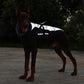 Winter Waterproof Vest