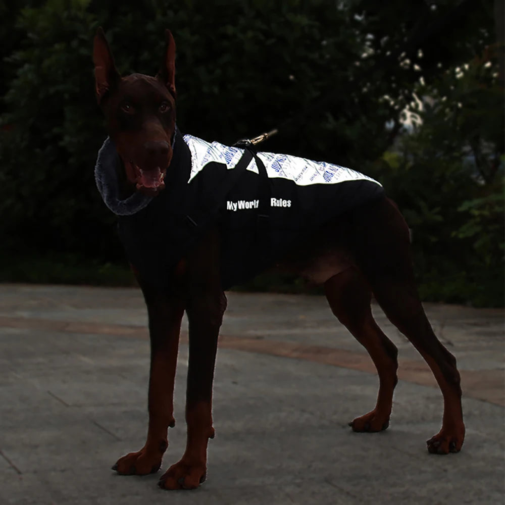 Winter Waterproof Vest
