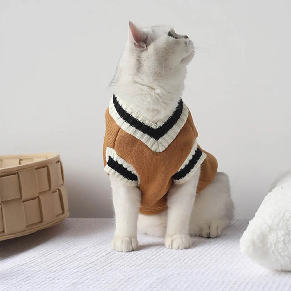 Cute Winter Outfit