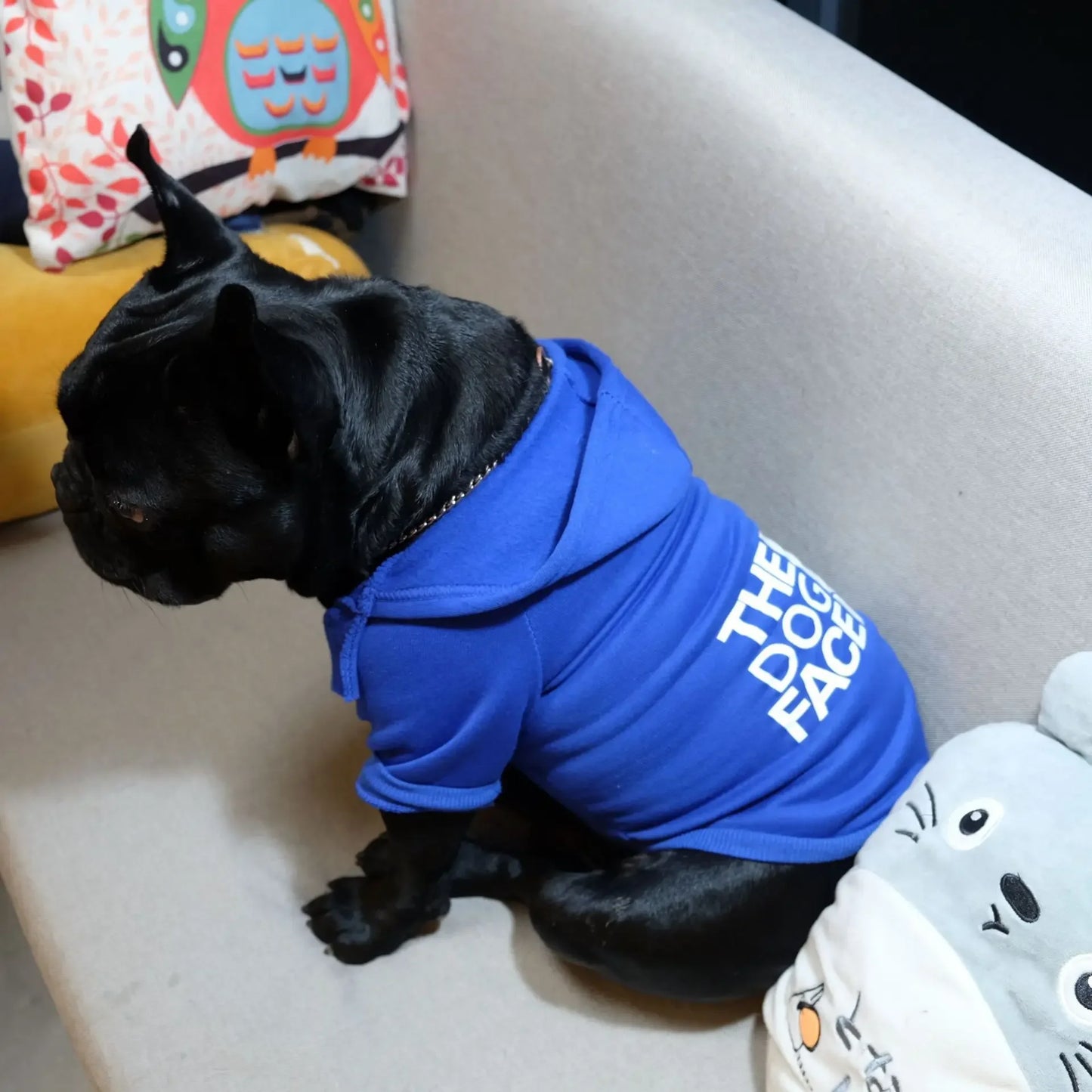Comfy Winter Wear for Big Dogs