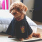 Magic Academy Cat Cape for Halloween