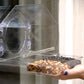 Clear Glass Window Bird Feeder