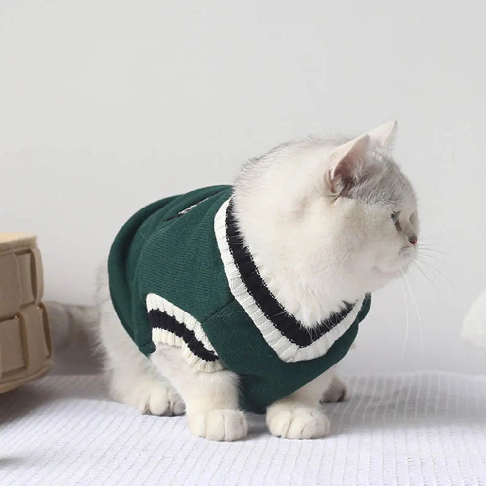 Cute Winter Outfit