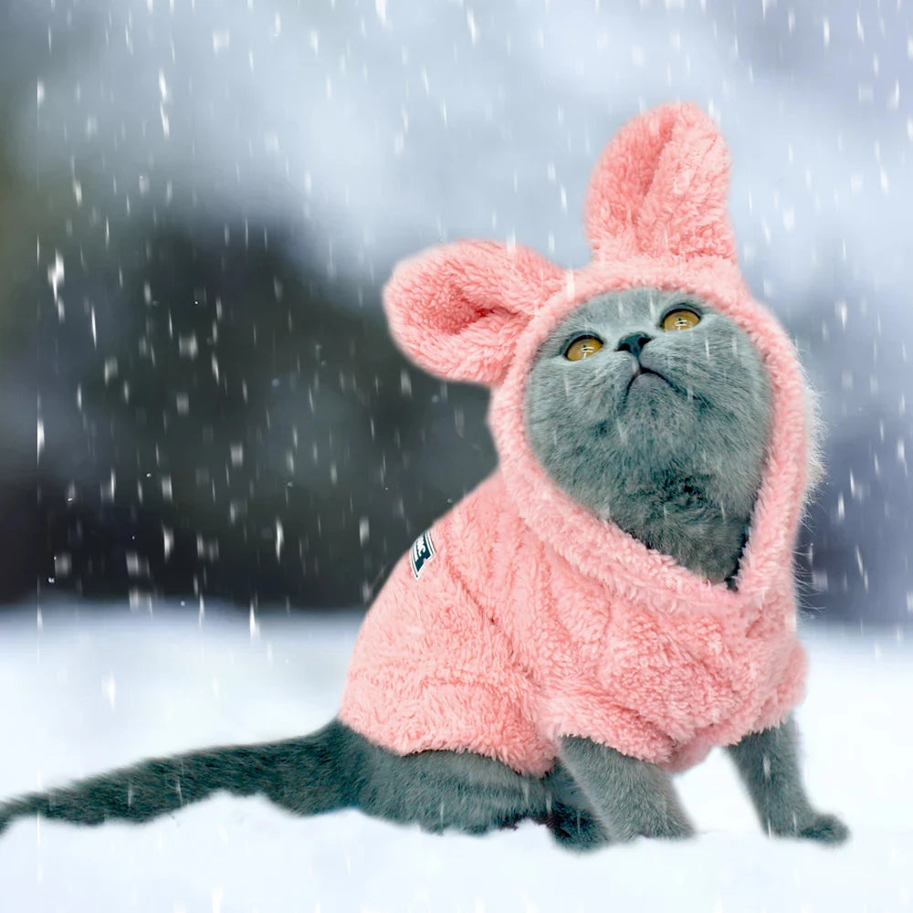 Cat Outfits
