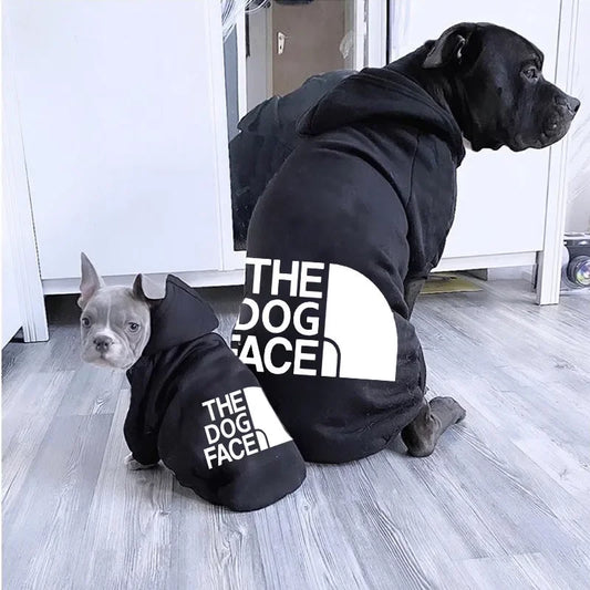 Comfy Winter Wear for Big Dogs